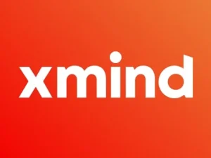 思维导图软件XMind 2025 v25.04 中文免安装绿色特别版 (Win/Mac) - 巴巴小站