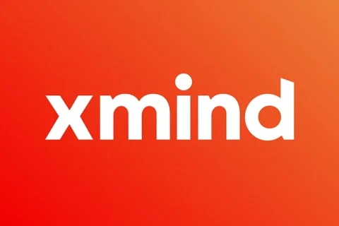 思维导图软件XMind 2025 v25.04 中文免安装绿色特别版 (Win/Mac) - 巴巴小站