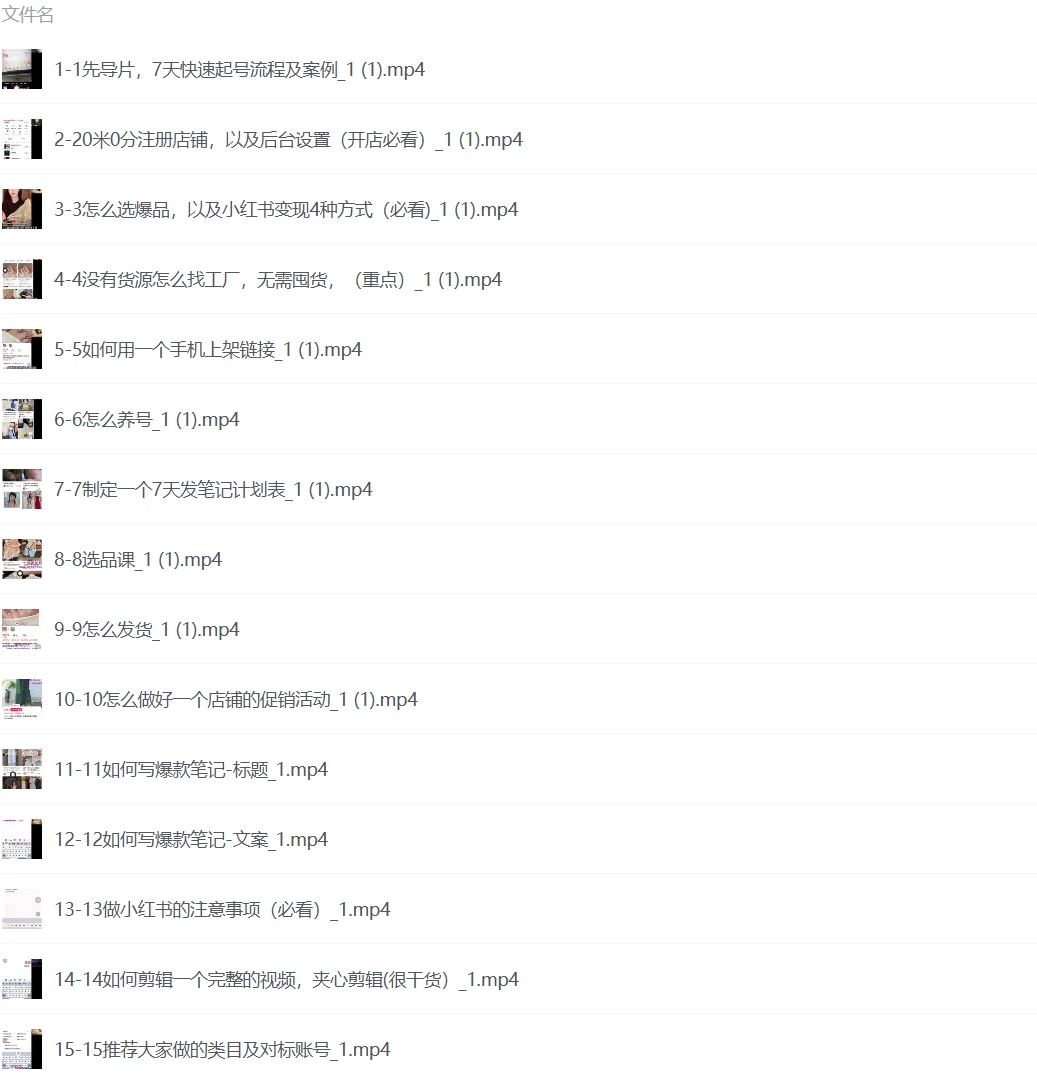 小红书电商0基础小白轻松上手，教你从0-1实操运营