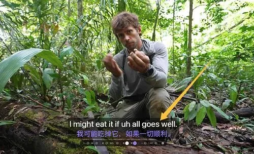 Lorqa：macOS 任意软件播放外语音视频，即刻生成低延迟实时字幕，支持翻译 - 巴巴小站